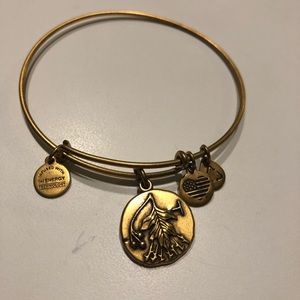 Hawthorn Alex and Ani Bracelet.